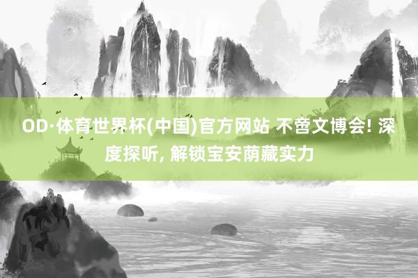 OD·体育世界杯(中国)官方网站 不啻文博会! 深度探听， 解锁宝安荫藏实力