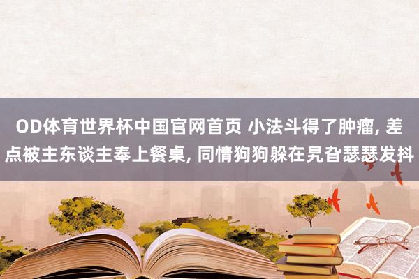 OD体育世界杯中国官网首页 小法斗得了肿瘤， 差点被主东谈主奉上餐桌， 同情狗狗躲在旯旮瑟瑟发抖