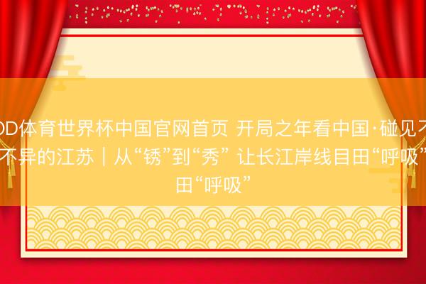 OD体育世界杯中国官网首页 开局之年看中国·碰见不不异的江苏|从“锈”到“秀” 让长江岸线目田“呼吸”