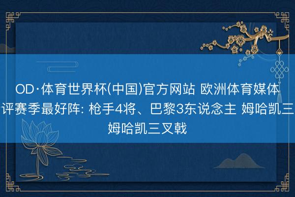 OD·体育世界杯(中国)官方网站 欧洲体育媒体协会评赛季最好阵: 枪手4将、巴黎3东说念主 姆哈凯三叉戟