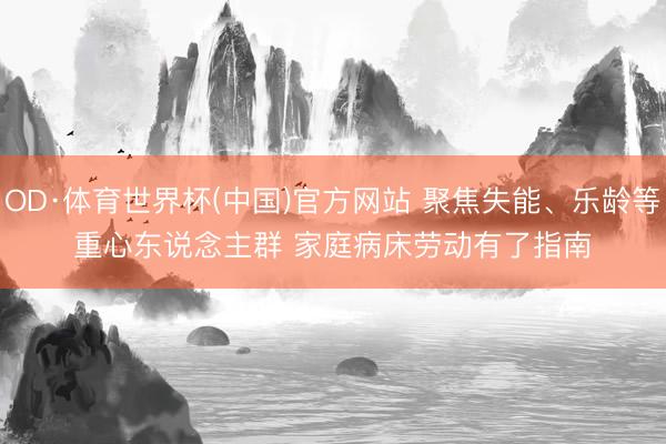 OD·体育世界杯(中国)官方网站 聚焦失能、乐龄等重心东说念主群 家庭病床劳动有了指南