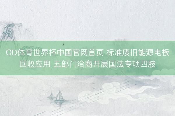 OD体育世界杯中国官网首页 标准废旧能源电板回收应用 五部门洽商开展国法专项四肢