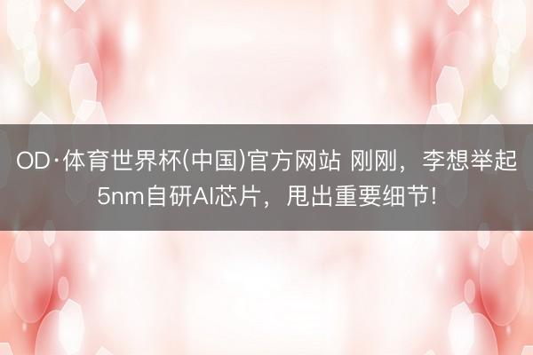 OD·体育世界杯(中国)官方网站 刚刚，李想举起5nm自研AI芯片，甩出重要细节!