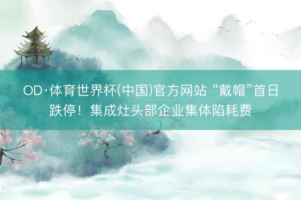 OD·体育世界杯(中国)官方网站 “戴帽”首日跌停！集成灶头部企业集体陷耗费