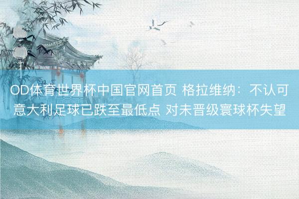 OD体育世界杯中国官网首页 格拉维纳：不认可意大利足球已跌至最低点 对未晋级寰球杯失望