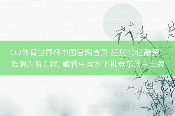 OD体育世界杯中国官网首页 狂揽10亿融资! 低调的哈工程, 藏着中国水下机器东谈主王牌